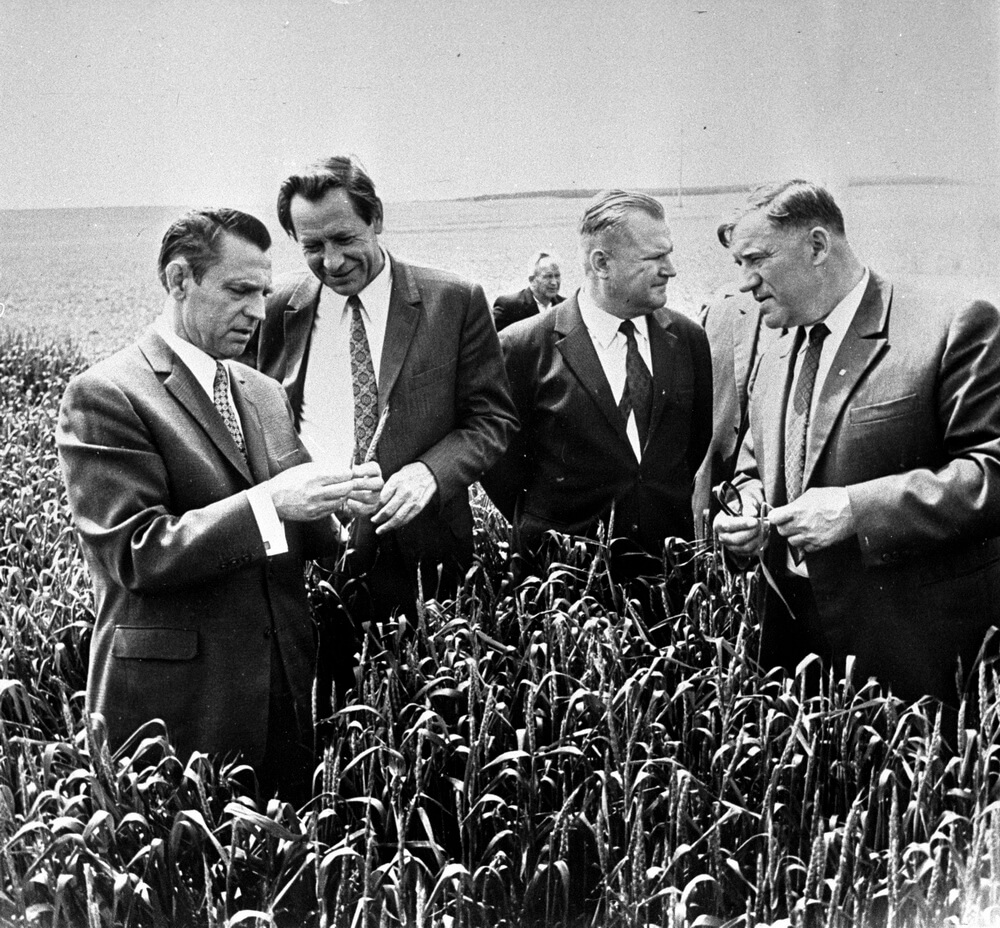 1 ый секретарь ЦК КПБ П. М. Машеров второй слева на поле совхоза Оснежицкий Пинского района 1970 г